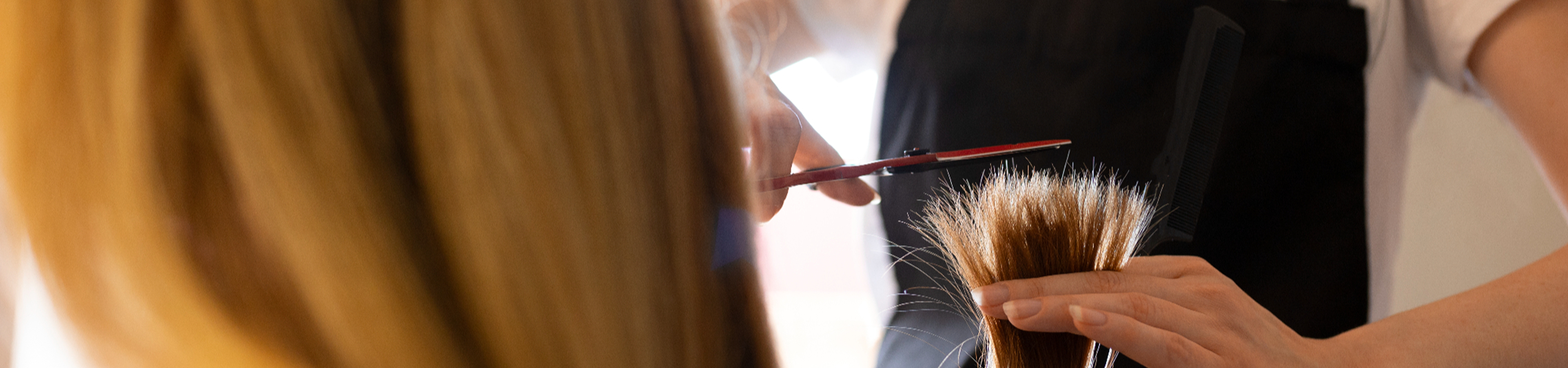 Hair cut sample