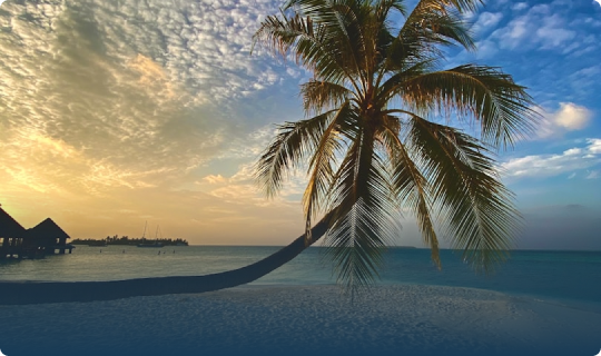 Breathtaking Scenic Coastal Drives & Viewpoints