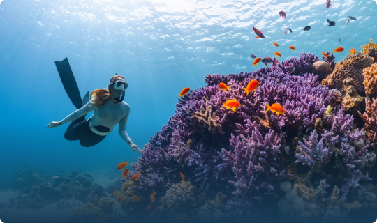 Thrilling Water Sports Excitement (Snorkeling, Kayaking & More)