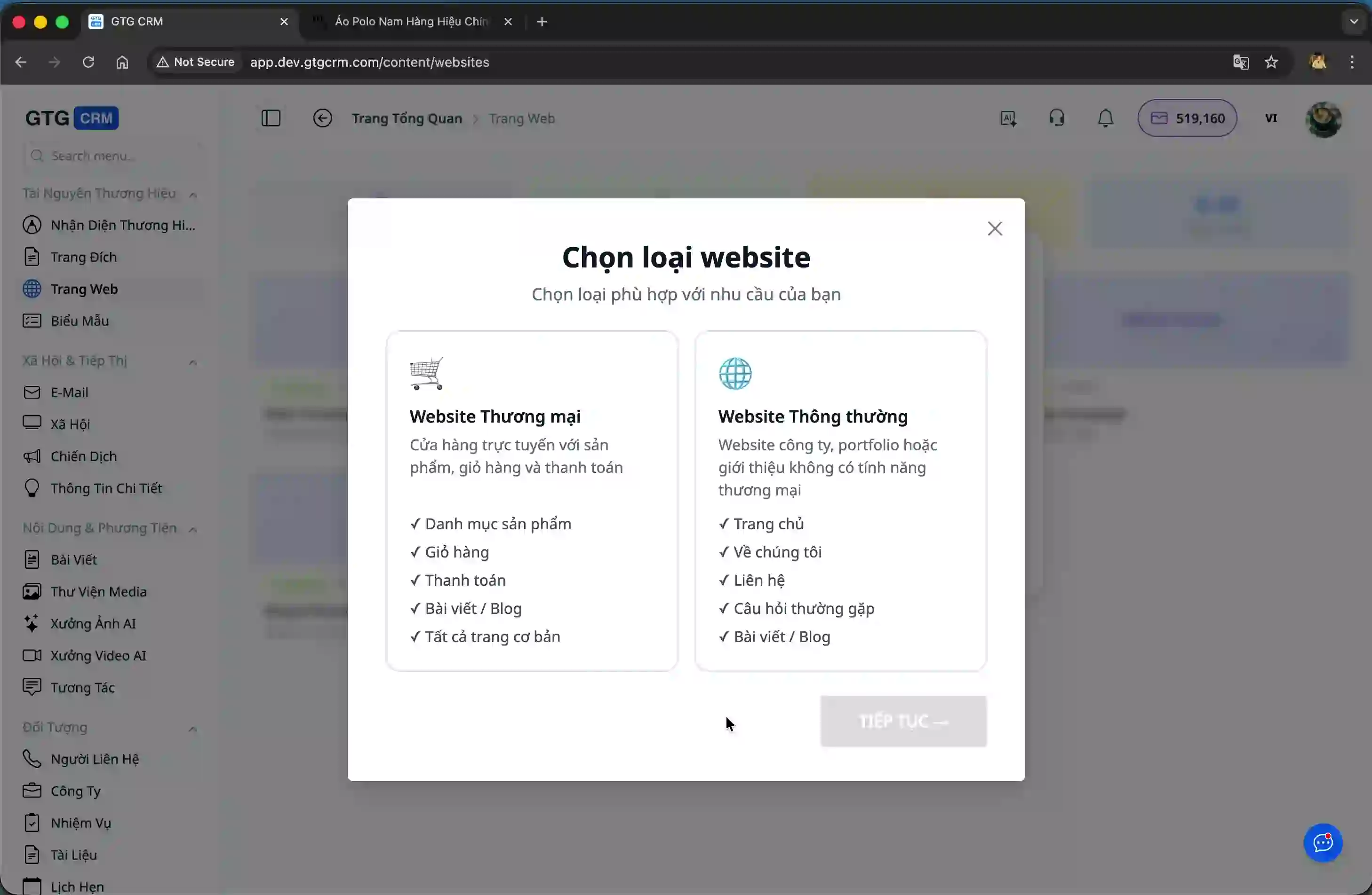 Choose the right type of website.
